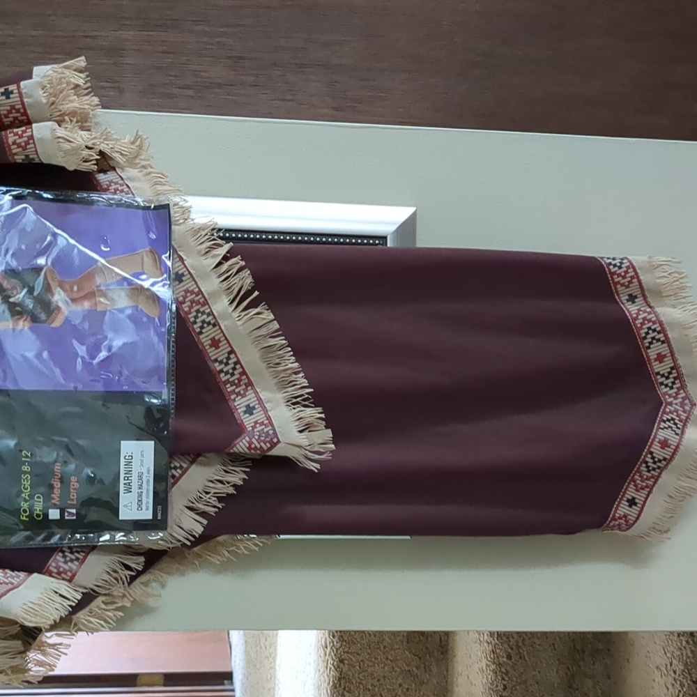 Girls Native Beauty (Indian) costume